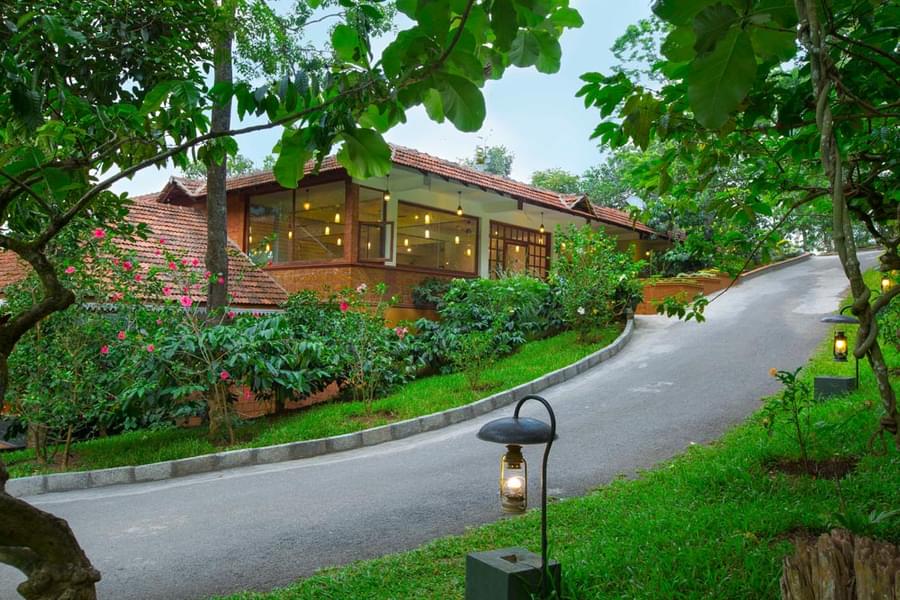 A Serene Hideout Amidst Lush Green Plantations in Thekkady Image