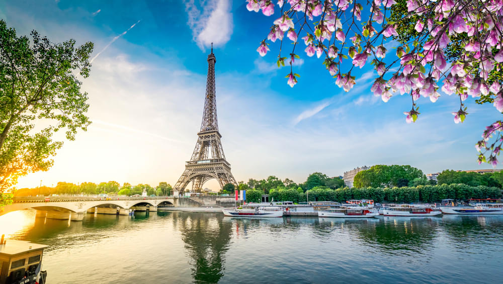 Top Attraction in Paris