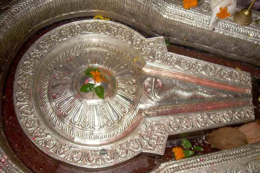 One Day Trip to Bhimashankar from Pune Image