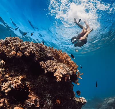 Tourists snorkelling in Green Island, Australia