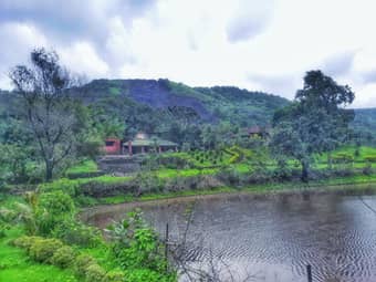 Whispering Peepul Resort