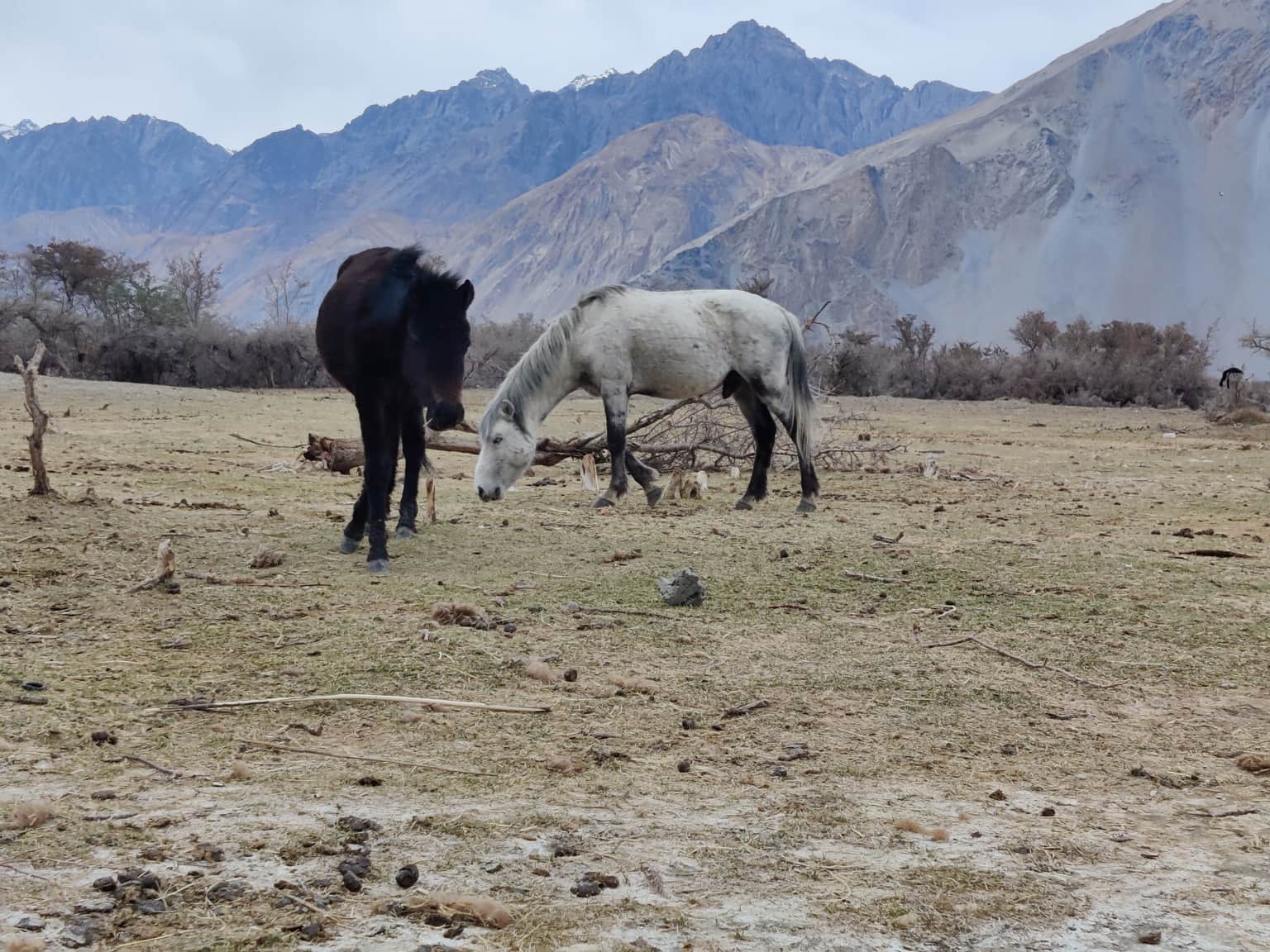 Photo from Vishal Agarwal's trip