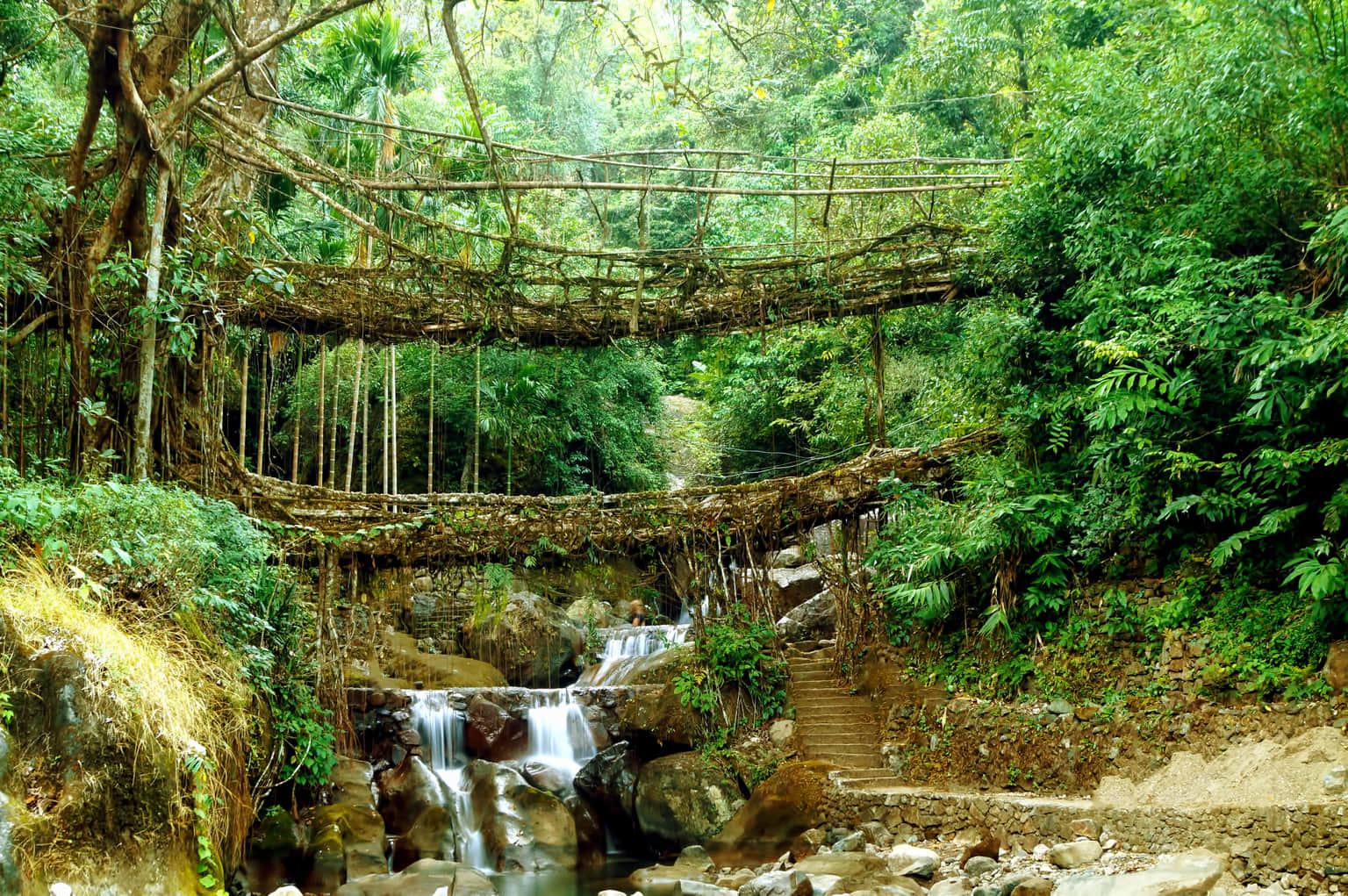 <em>Cherrapunji</em> Tour Packages From Raipur