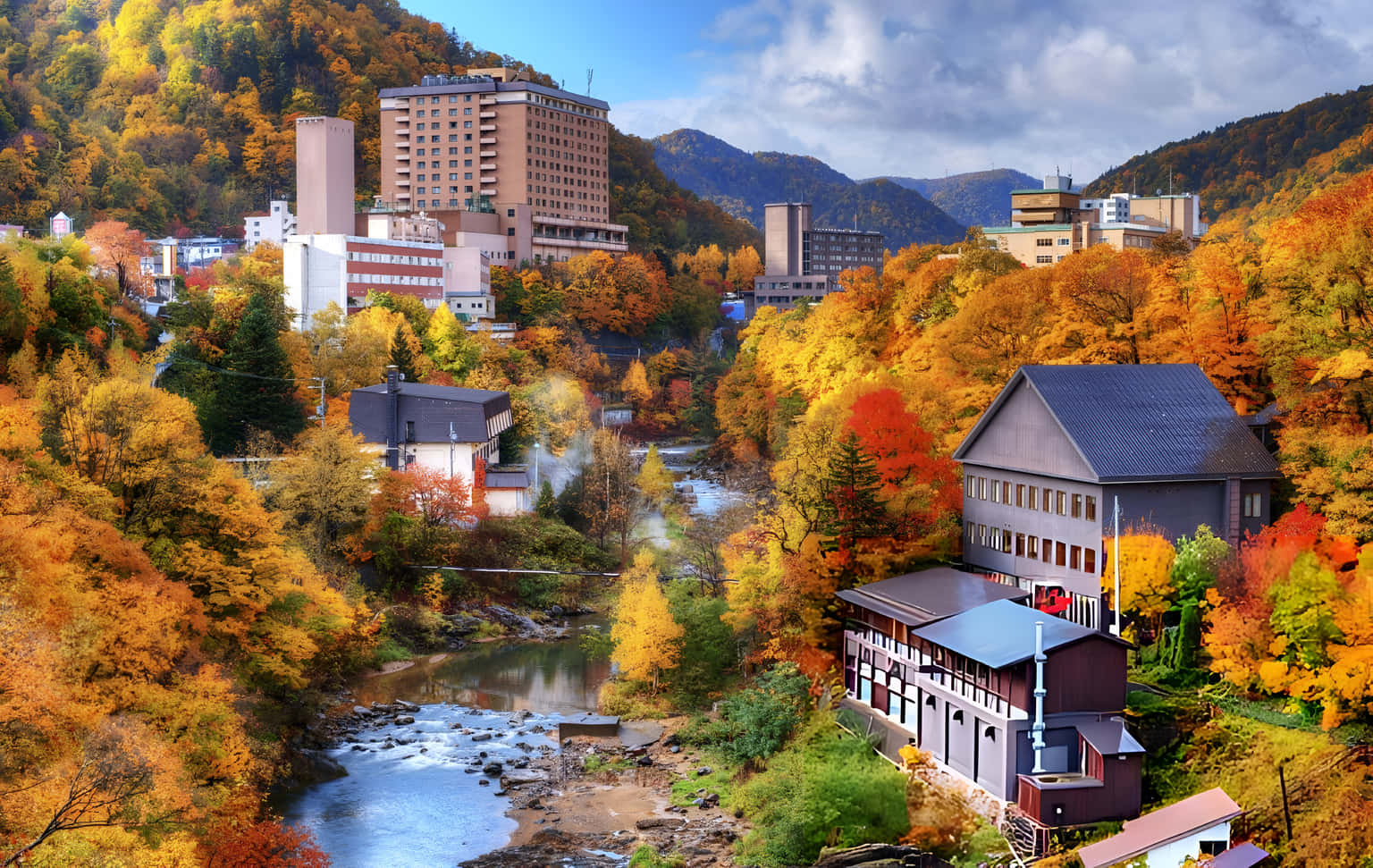 Best of Tokyo & Hokkaido | From City Lights to Scenic Heights