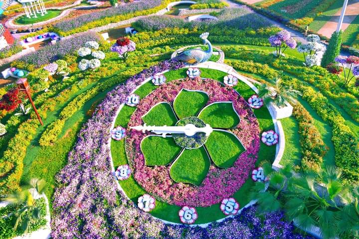 Floral Clock In Miracle Garden