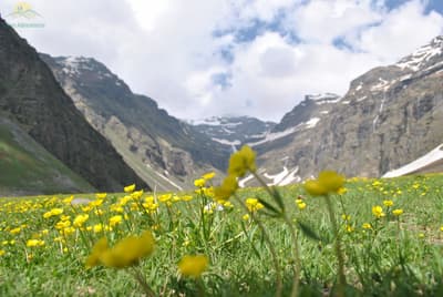 Rupin Pass Trek Day 2