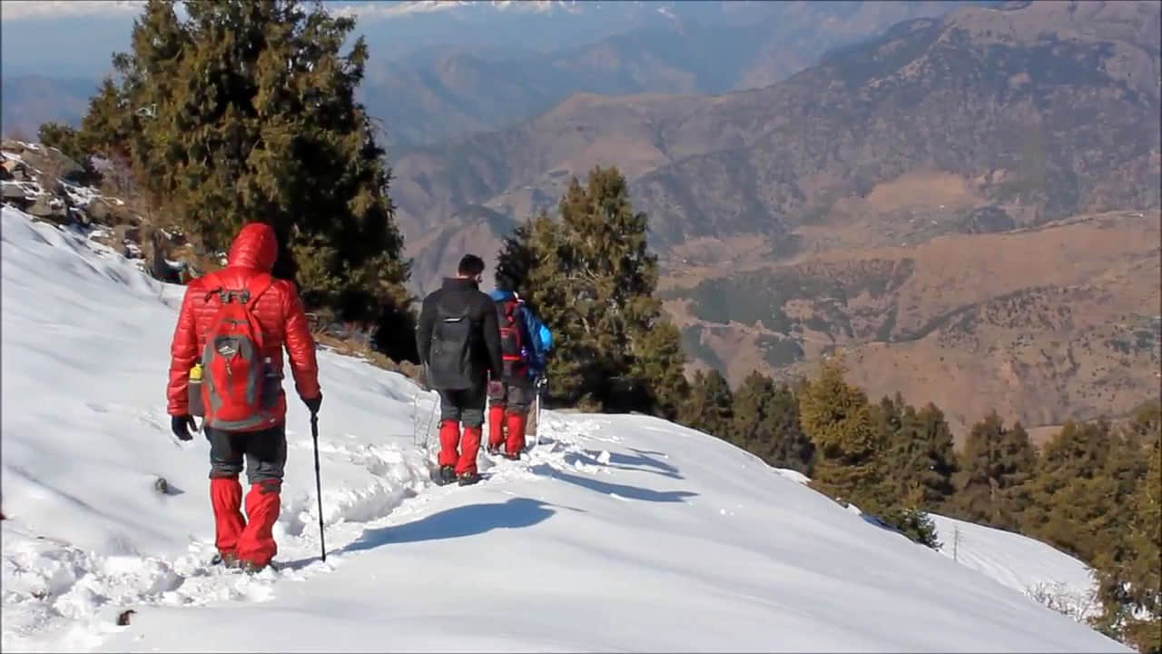 Photo from Tanushri Trivedi's trip