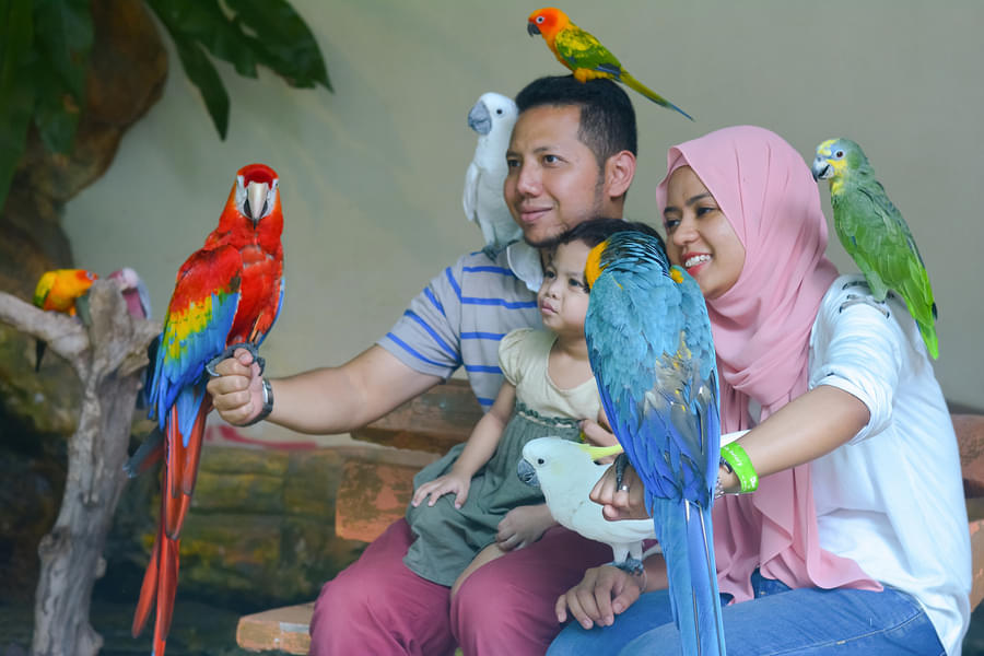 Click pictures with exotic birds at Kuala Lumpur's Bird Park 