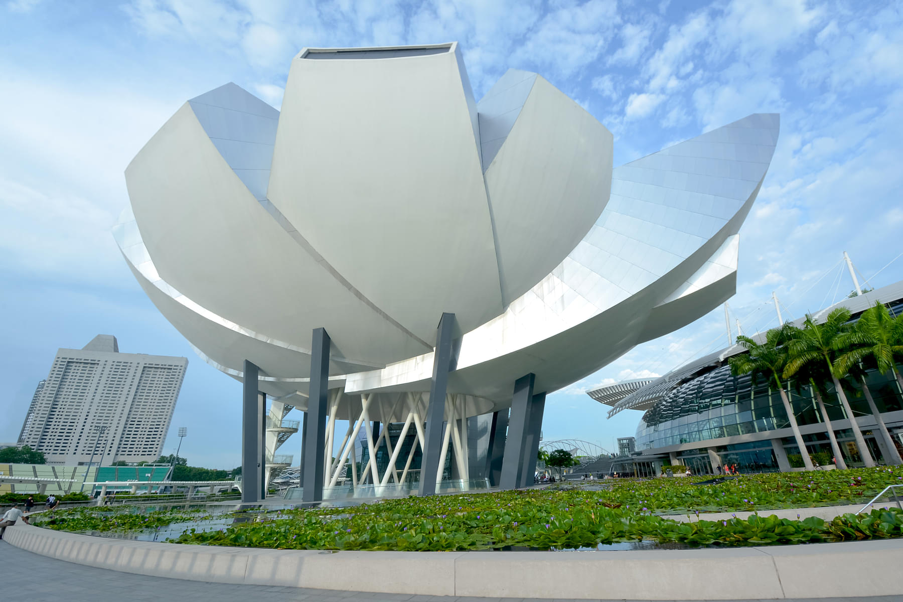 Marvel at the wonderful lotus shaped Marina Bay Sands building