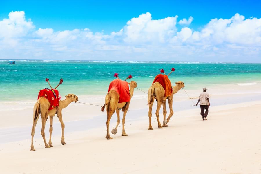 An African Voyage to the scenic Mombasa Coast