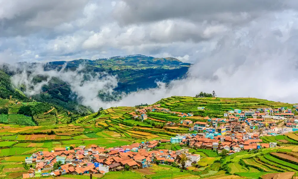 Ooty and Coorg Tour Package