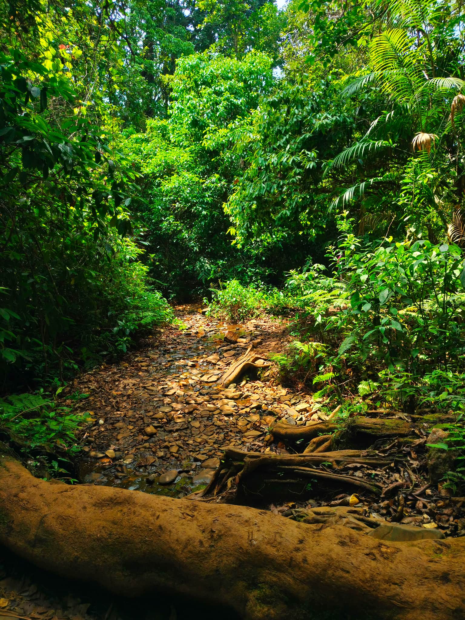 Photo from J S Manvith's trip