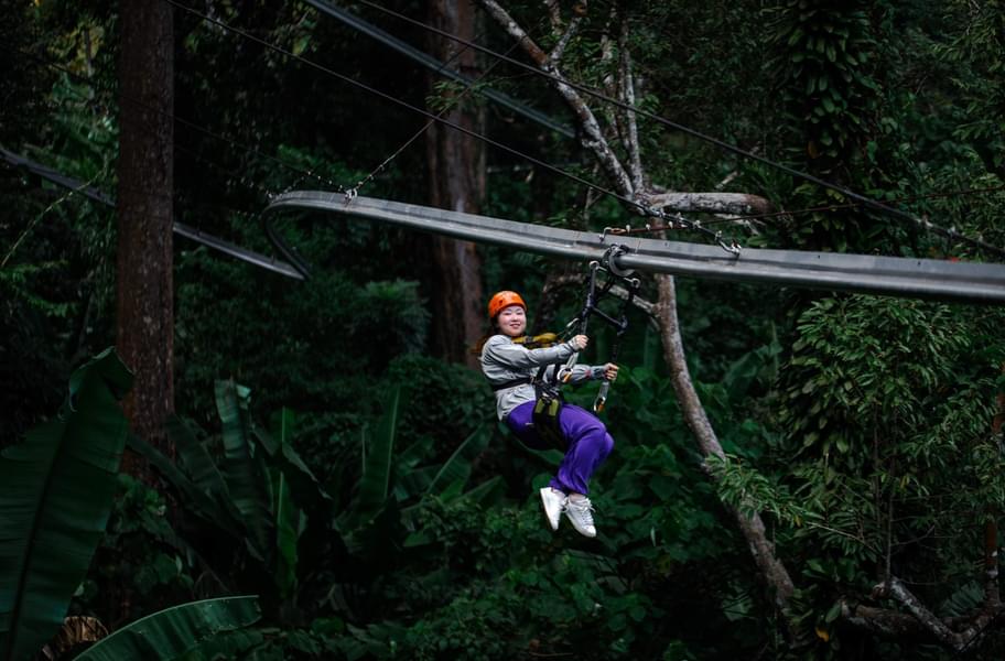 Ziplining activity over the Thai rainforest
