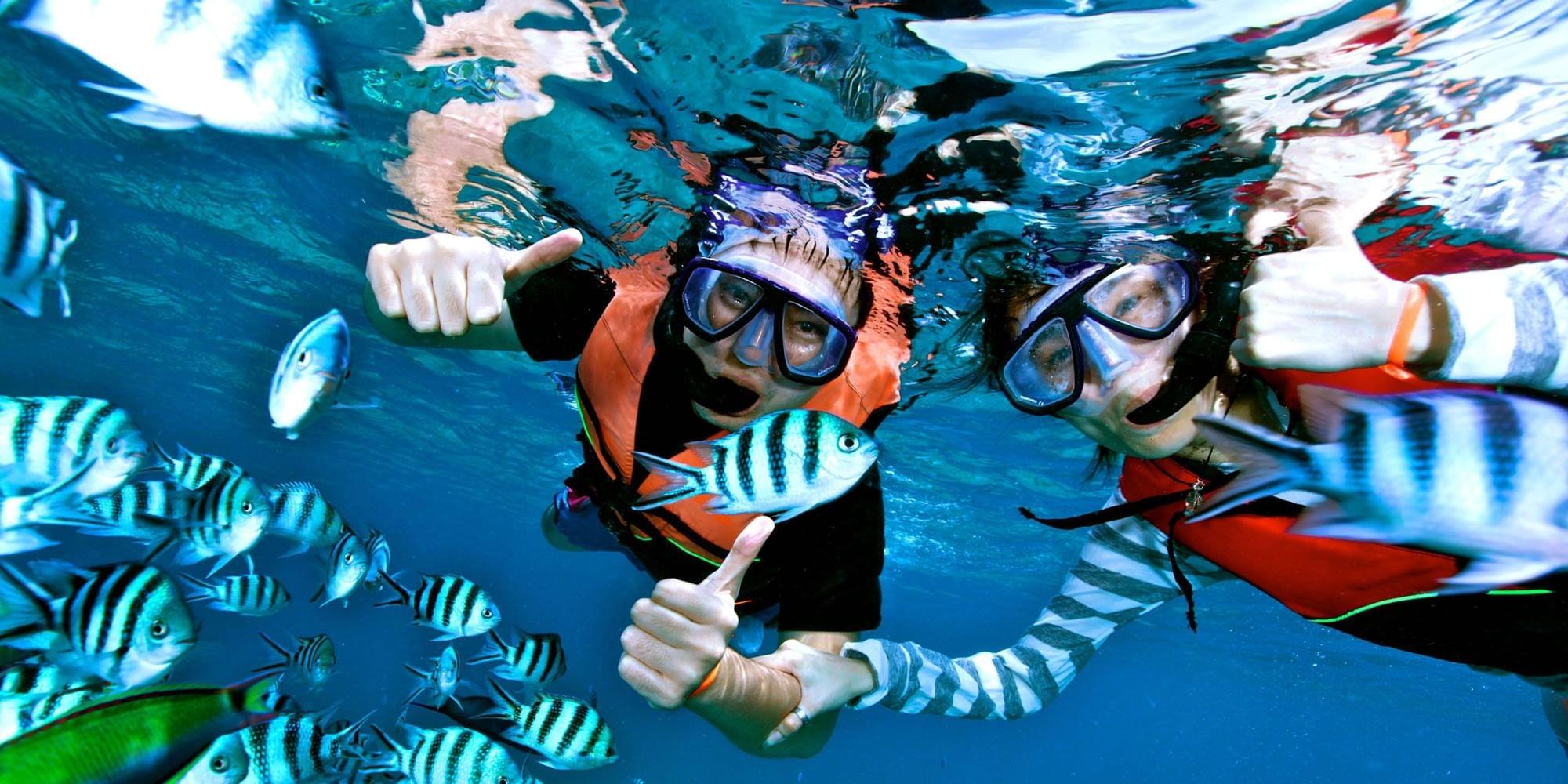 Snorkeling in Pattaya