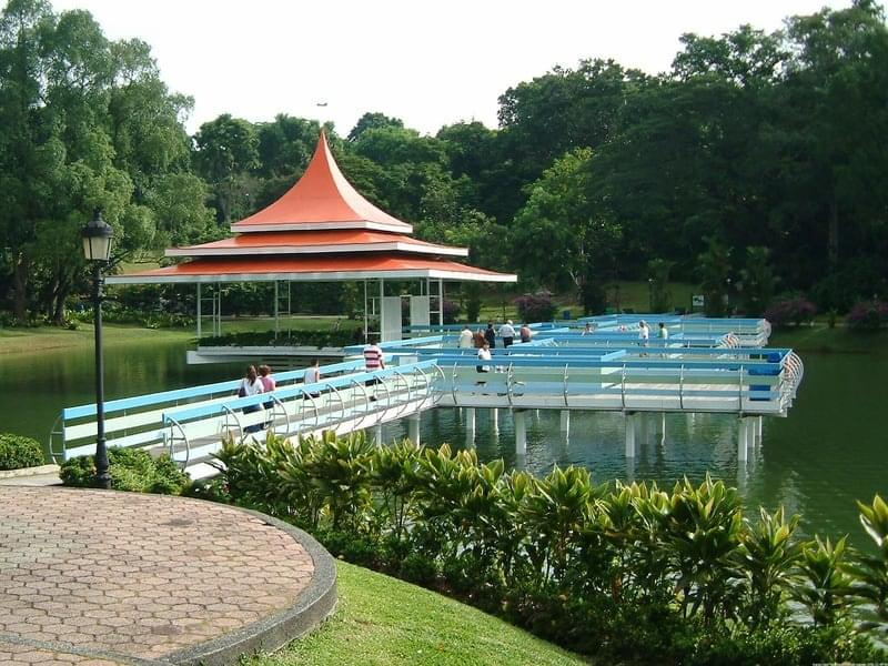 MacRitchie Rainforest