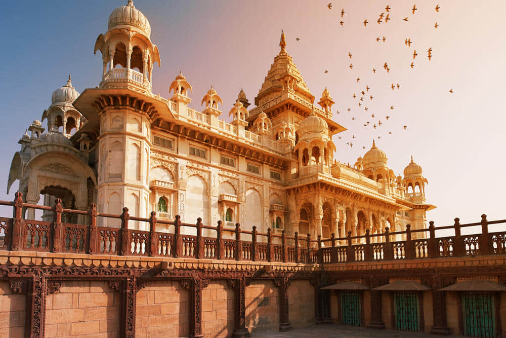 In-City Experiences in Jodhpur - Upto 60% Off