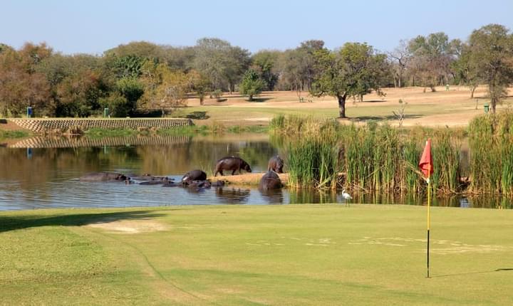 Play Golf at the Skukuza Golf Course.jpg