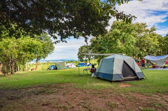 Daintree National Park