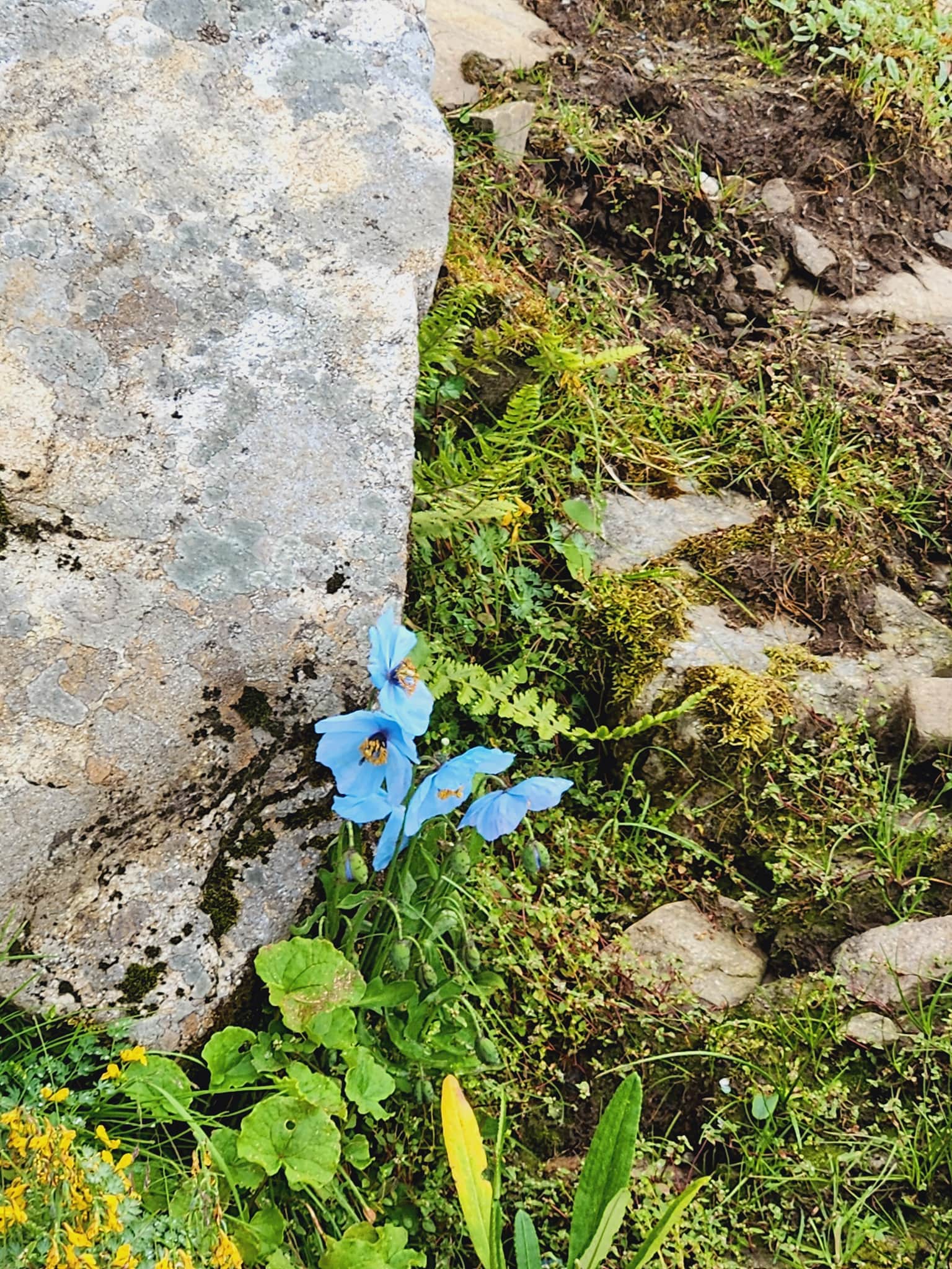 Photo from RISHABH SONI's trip