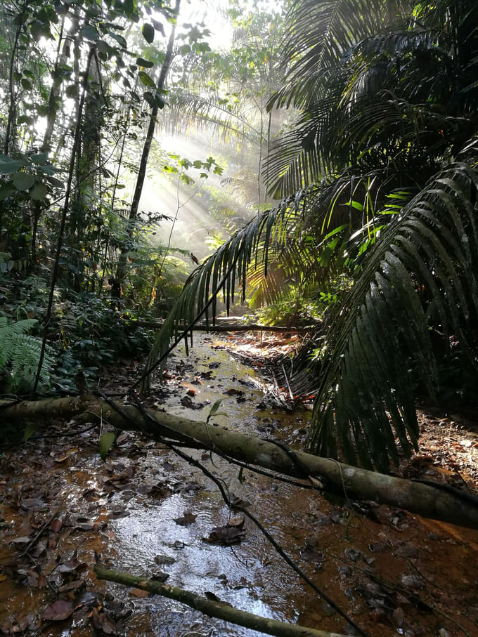 Bukit Gasing, Petaling Jaya