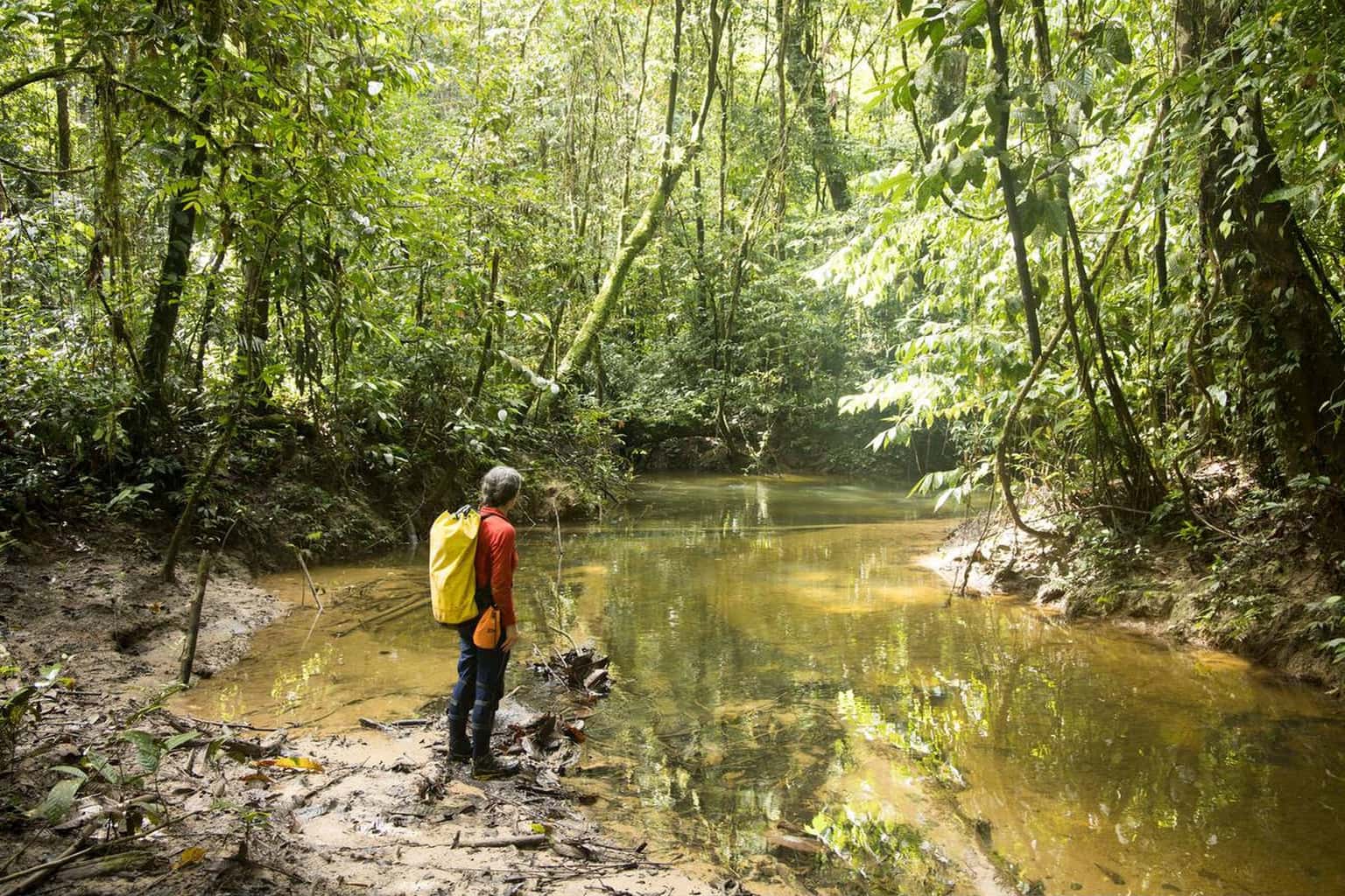 Mawlynnong River Trek, Meghalaya