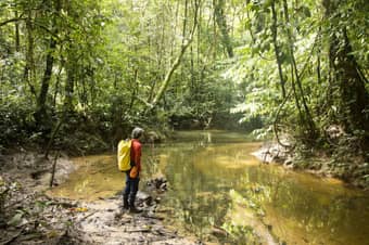 Explore Meghalaya’s nature side on Mawlynnong River Trek
