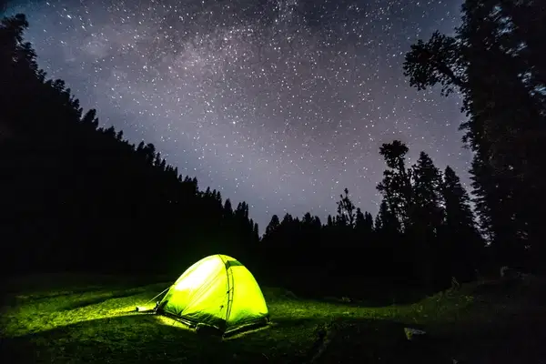 Camp in the Meadows of Kalkattiyadhaar