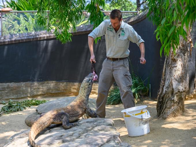 Sydney Zoo Tickets