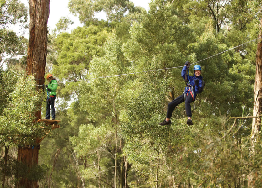 Treetops Adventure Yeodene Park Image