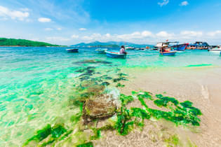 9lgsd5ob6shf805ofdc8ktkawcec 30437955947 e72817ab68 b