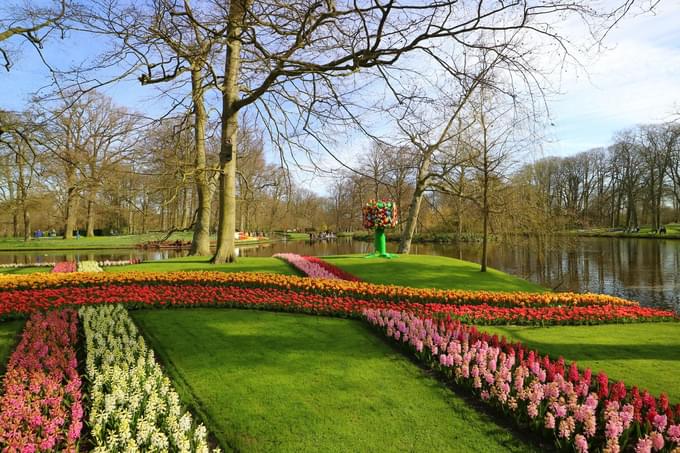 Freesia And Gerbera Show At Netherlands Flower Garden