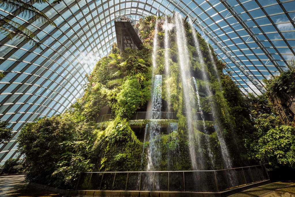 Flower Dome and Cloud Forest Singapore