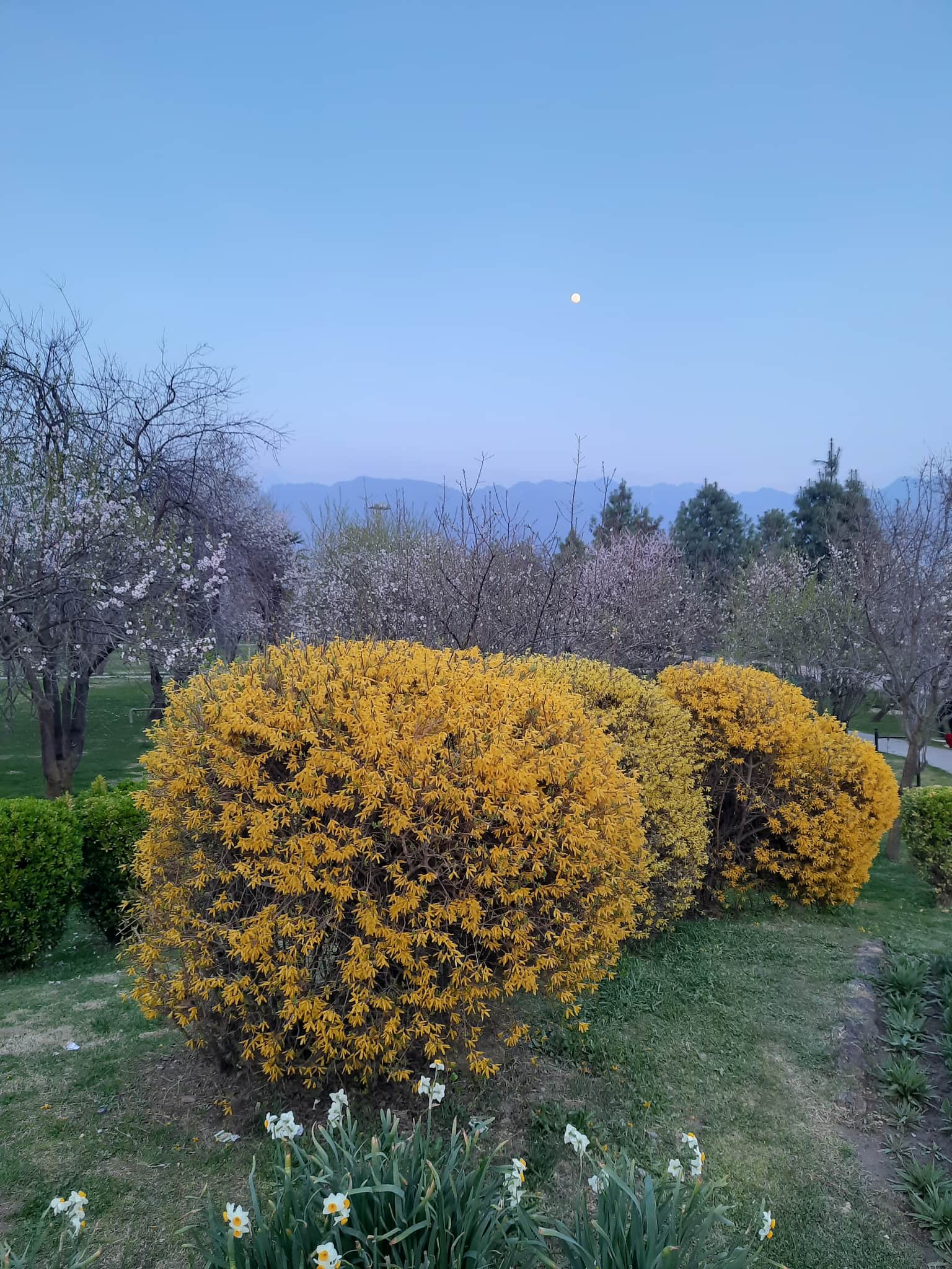 Photo from Alok Malhotra's trip