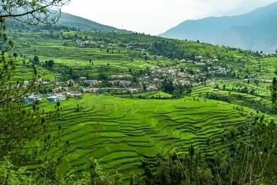 Walk Through Osla’s Farmlands