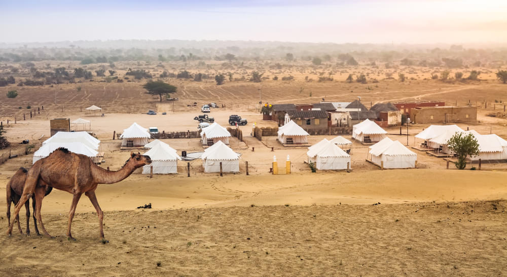 Best Selling Camps In Jaisalmer