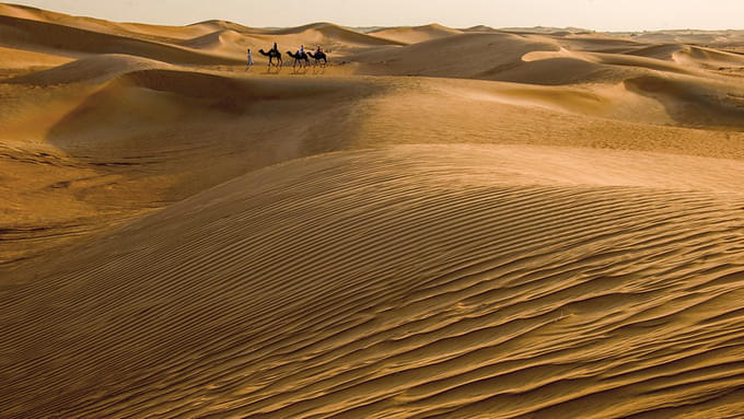 Dubai Desert