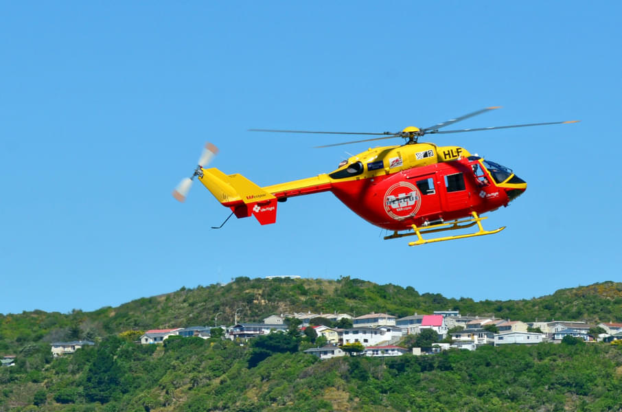 Wellington Helicopter Tours Image