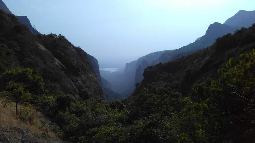 Trek to Andharban From Pune Image