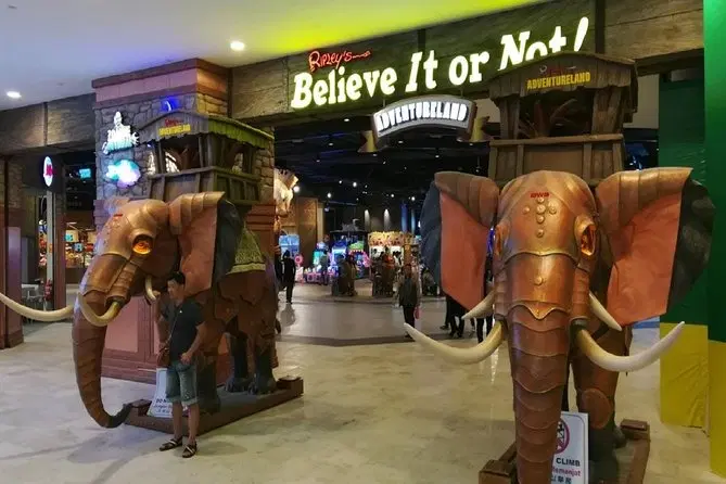 Explore the Bizarre Museum