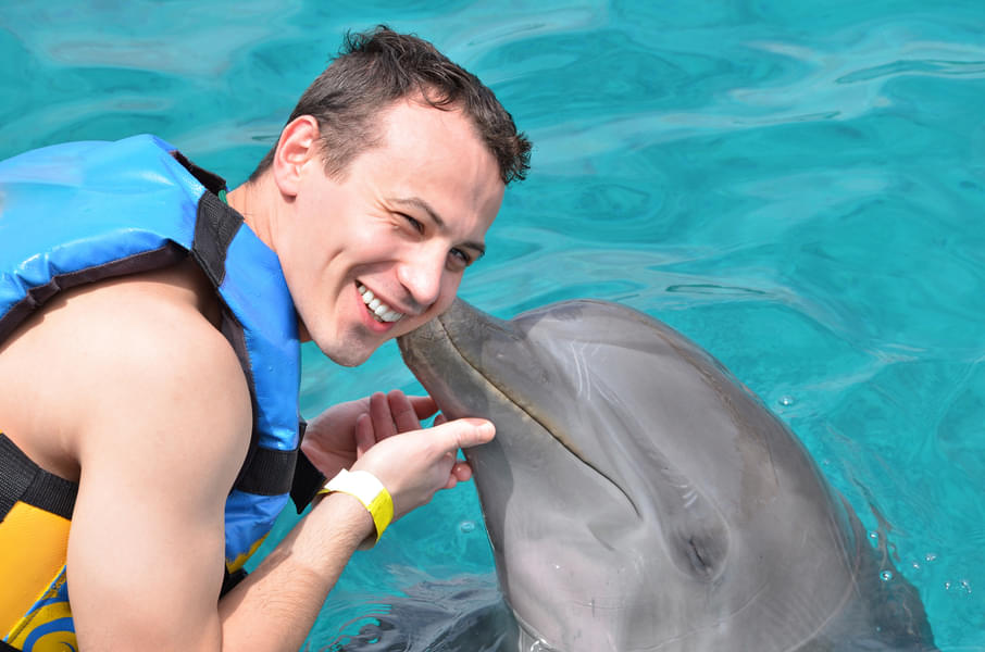 Photo with Dolphin at Dubai Dolphinarium