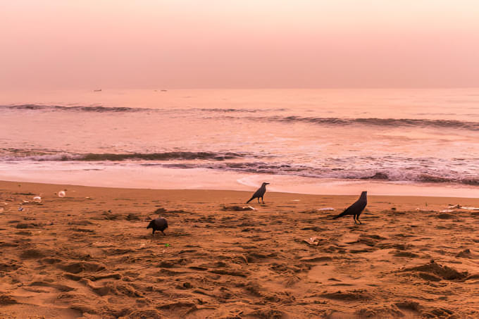 Ride to serene beaches and catch stunning seaside sunsets