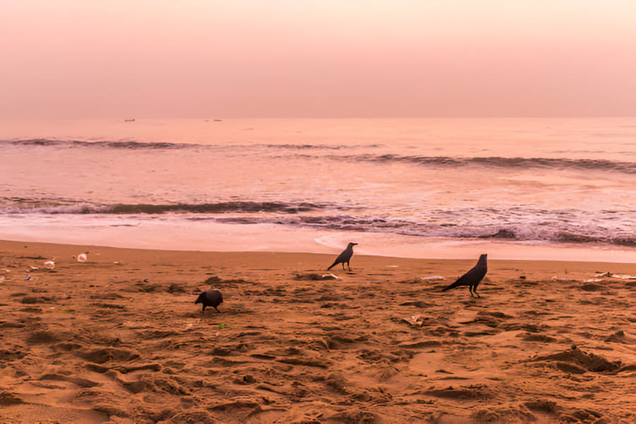 Yamaha FZ V2.0 FI on Rent In Chennai Image