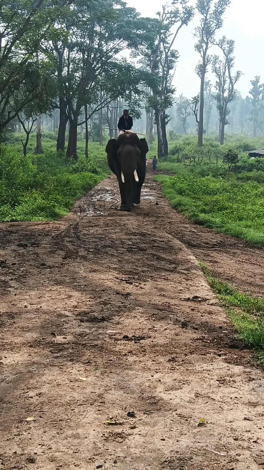 Photo from Smita Chavan's trip