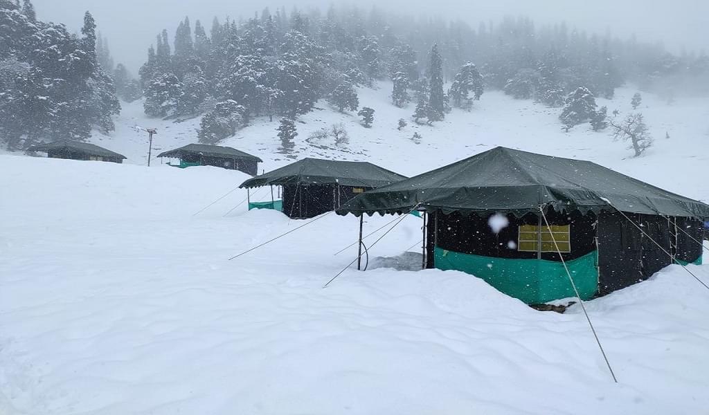 Team Outing And Camping At Chopta Village Image