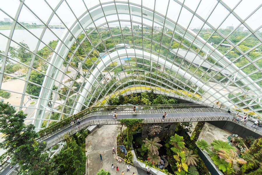 Cloud Forest Gardens By the Bay Singapore