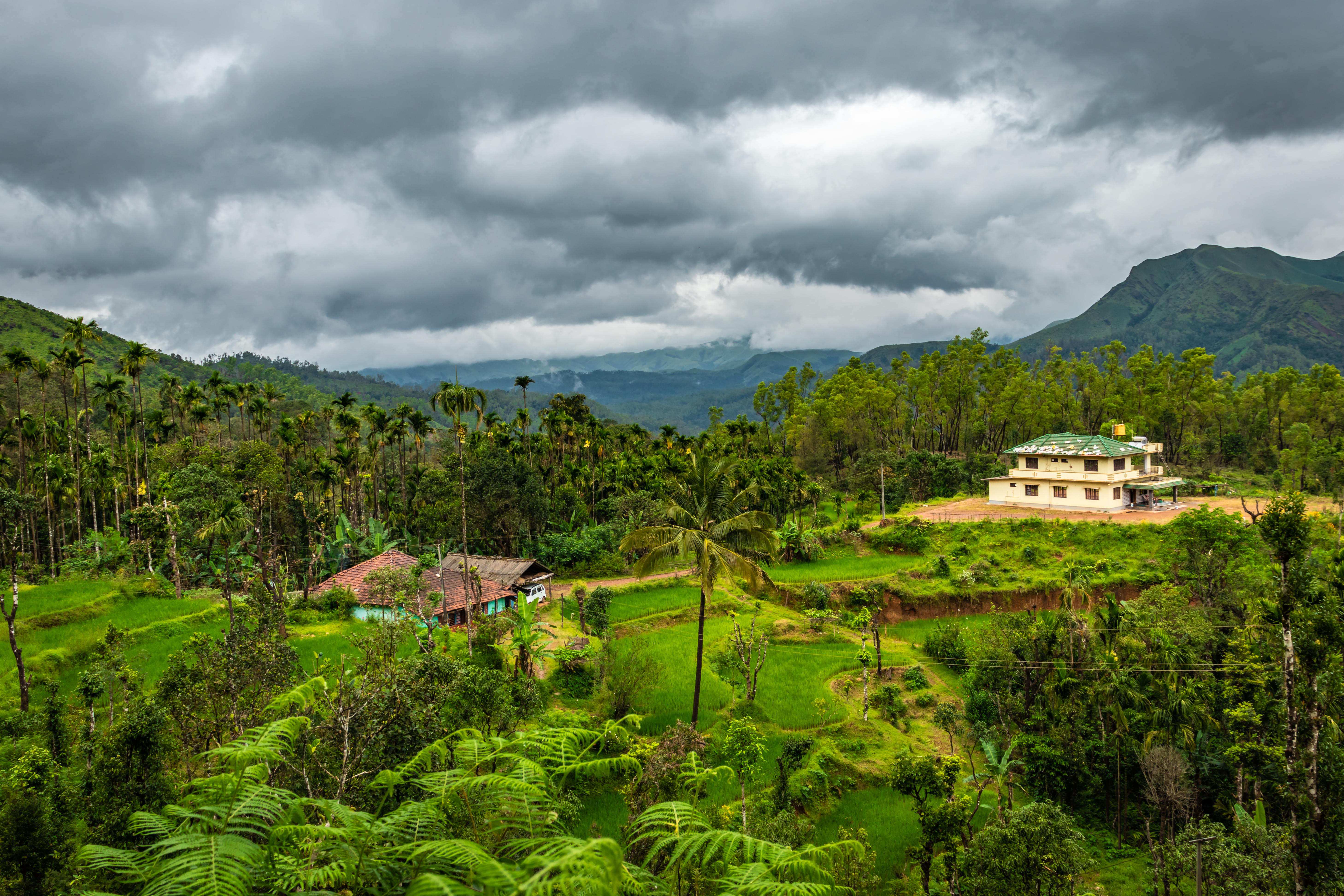 Coorg - a feast for the senses, with its lush greenery, aromatic coffee, and spicy cuisine