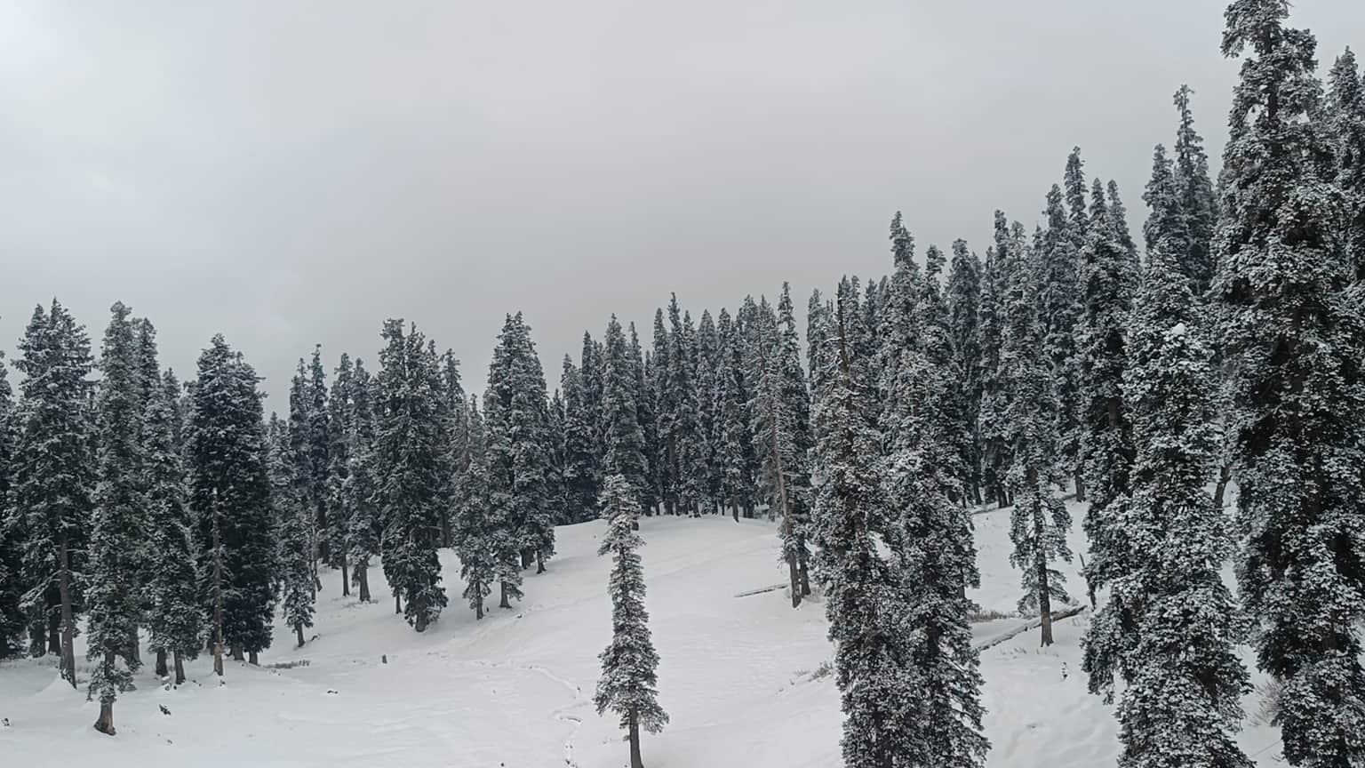 Photo from Roshan Kumar 's trip