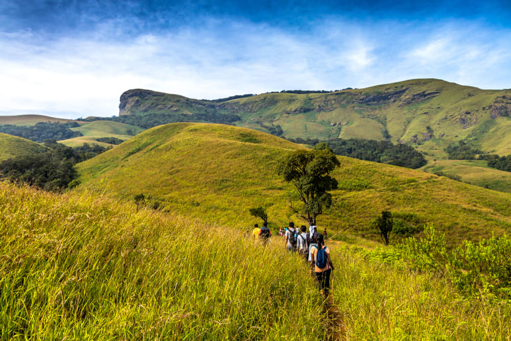 Festivals And Events In Chikmagalur