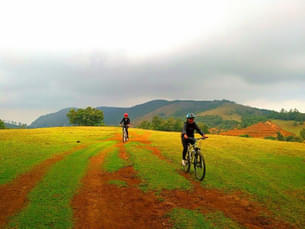 Wash through the lush green grasslands