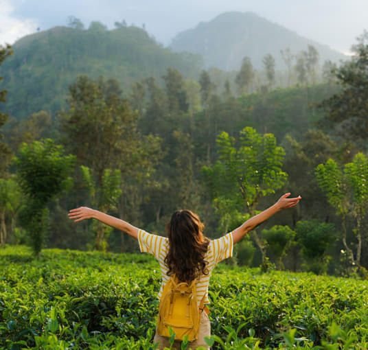 Girl enjoying the views of lush tea estate in Kadugannawa Tea Factory